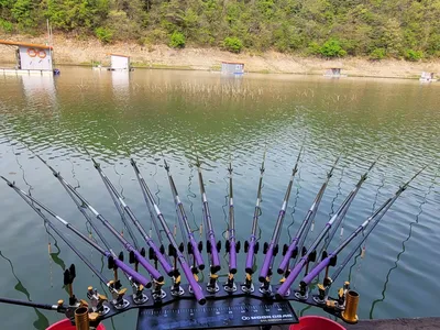 청풍 실리곡낚시터 4짜외 허리급 조황입니다.