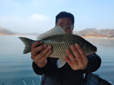 돌감낚시터 조황입니다.