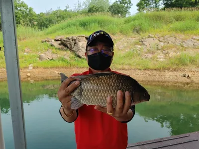 돌감낚시터 붕어조황입니다.