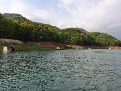 실리곡낚시터 4짜.허리급 조황입니다.