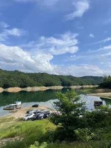 솔낚시터 사짜및 허리급 조황 소식입니다.