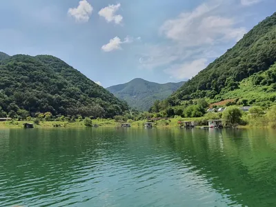 용곡 김기호낚시터 허리급 조황입니다