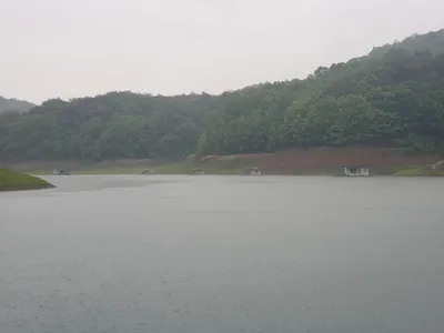 실리곡낚시터 4짜.허리급 조황입니다.