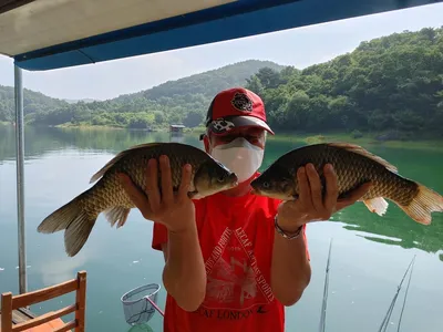 돌감낚시터 붕어조황입니다.