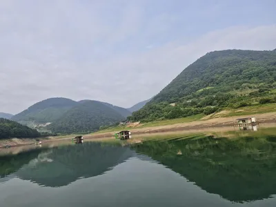 용곡 김기호 낚시터 사짜 조황입니다