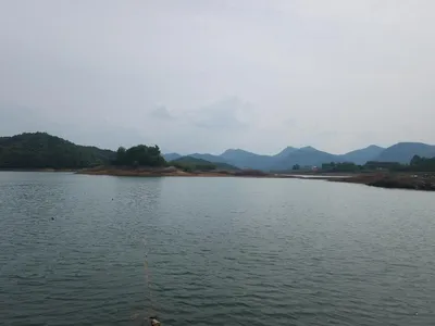 청풍 한버들 4짜 조황입니다