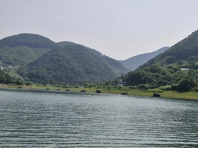 용곡 김기호 낚시터 사짜 조황입니다