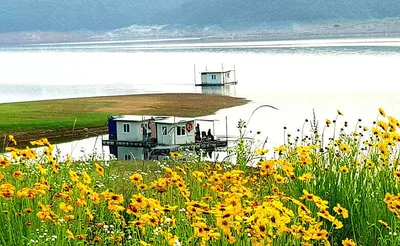 ★★★ 달빛물든 호숫가에서 4짜를 만나다 ★★★