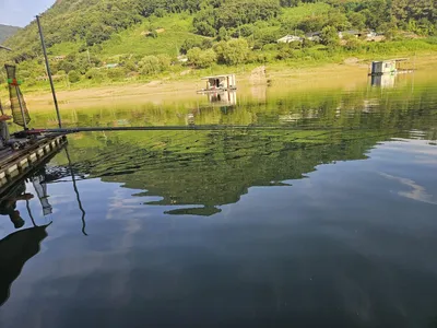 용곡 김기호 낚시터 조황정보 입니다