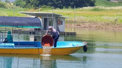 한버들 조황입니다