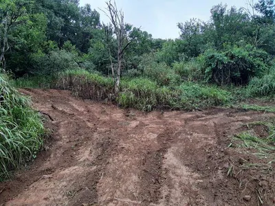 돌감좌대 포인트작업