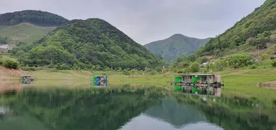 용곡 김기호 낚시터 조황입니다