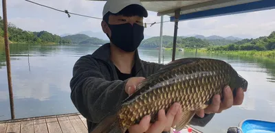 충주호 짱가네낚시터 