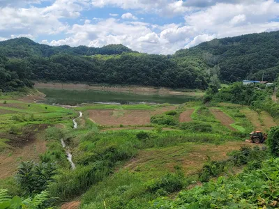 청풍 실리곡낚시터 허리급 조황입니다.