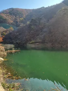 사오리 낚시터 조황정