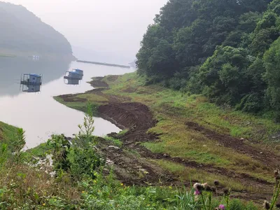 목벌주말조황소식