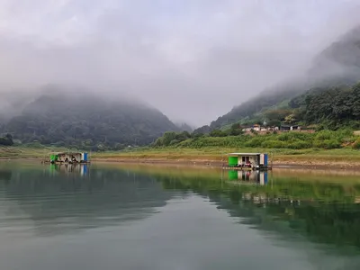 용곡 김기호 낚시터 조황정보 입니다