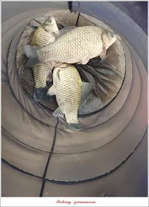 실리곡낚시터 44cm 대물 조황입니다.