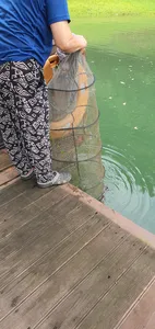 신매낚시터 7월 1일조황 