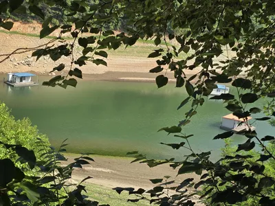 청풍실리곡낚시터  조황입니다.