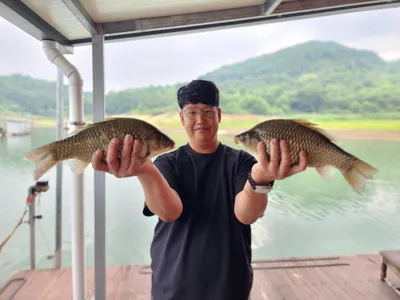 돌감낚시터 붕어조황입니다.