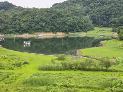 청풍실리곡낚시터  조황입니다.