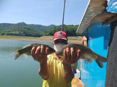돌감낚시터 붕어조황입니다.