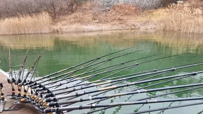 솔낚시터 조황 소식입니다.