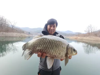 돌감낚시터 4짜 조황입니다.