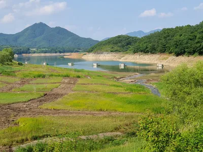 용곡 김기호 낚시터 조황정보 입니다