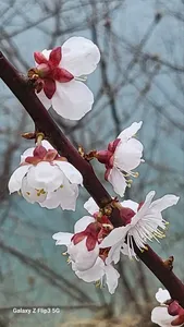 솔낚시터 최대어 시상식 & 허리급 조황 소식입니다