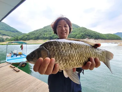 목벌4짜및월척들 주말조황입니다.