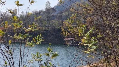 솔낚시터 조황소식 입니다.