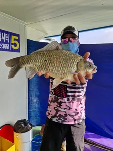 사오리 낚시터 조황정보