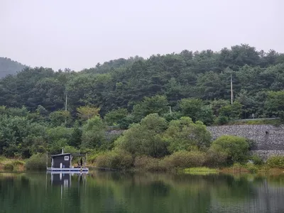 솔낚시터 조황소식 입니다.