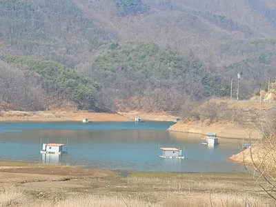 실리곡낚시터  43.5cm 대물조황입니다.