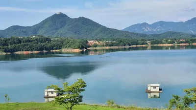 용곡 김기호 낚시터 허리급 조황 입니다