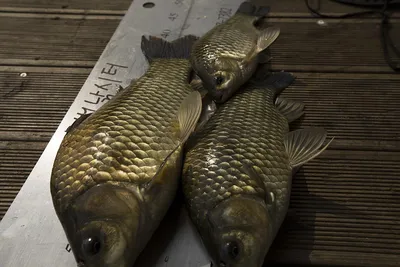 오늘도 행복한 소식을 전해봅니다.