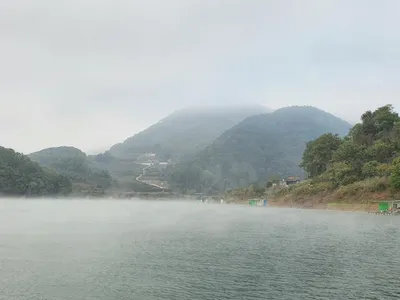 용곡 김기호 낚시터 조황정보 입니다