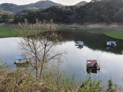 실리곡낚시터 4짜.허리급 조황입니다.