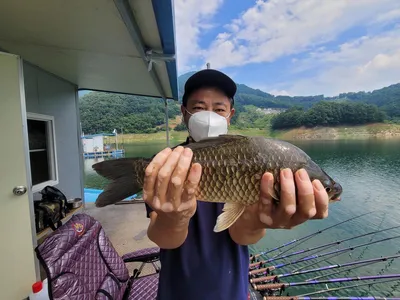 충주호목벌낚시터소식