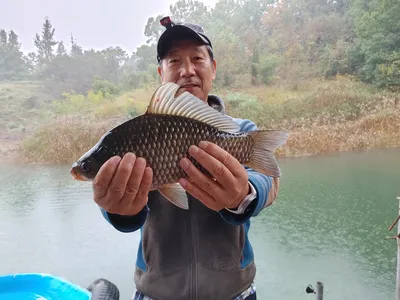 돌감낚시터 조황입니다.