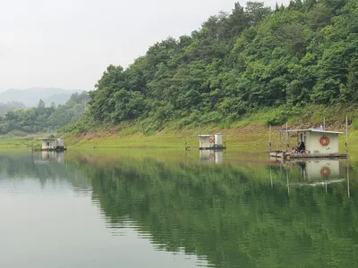 실리곡낚시터 허리급 조황입니다.