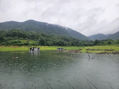솔낚시터 39사이즈 및 준척 조황입니다.