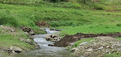 용곡 김기호 낚시터 조황입니다