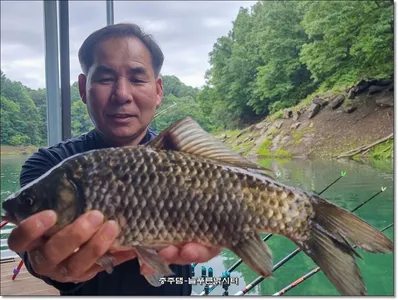 늘푸른의 조황이 살아나는 물색입니다.