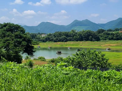 청풍 한버들 4짜및 허릿급 조황입니다