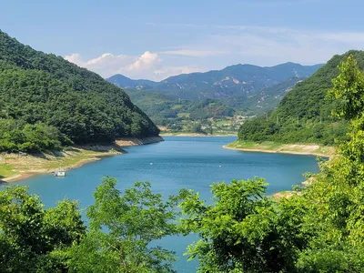 청풍 실리곡낚시터  조황입니다.