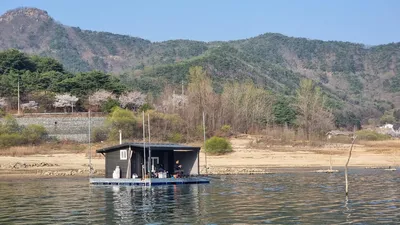 벗꽃비 내리는 솔낚시터 조황 소식입니다.