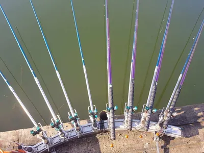 한버들 조황입니다